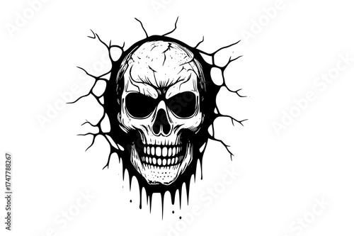 Skull Silhouette with Cracked Surface and Dripping Edge