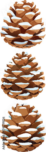 A single pine cone dusted with snow, realistic vector subject..eps