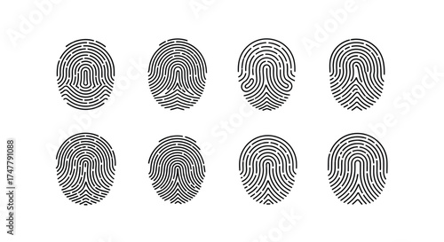 Set of eight distinct fingerprint patterns detailed high resolution close up isolated vector