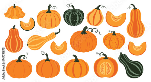 Collection of various pumpkins and gourds for harvest season celebration