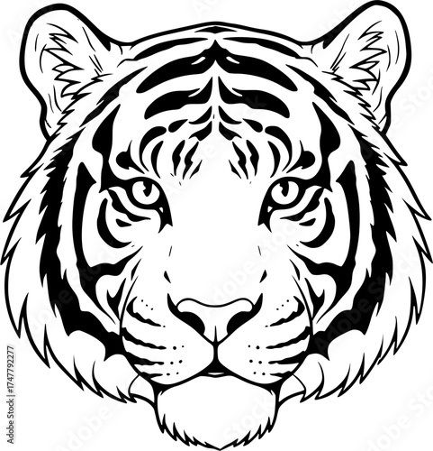 tiger head vector