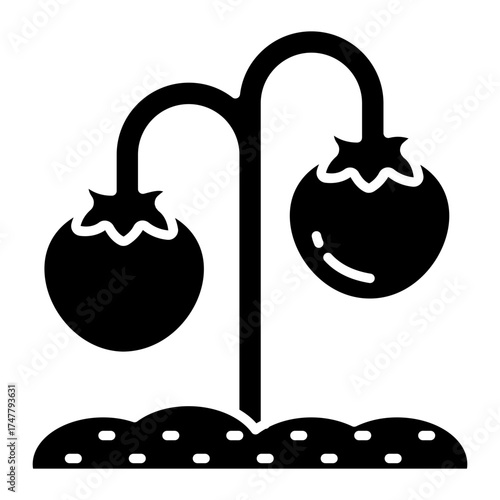 Vector design of tomato plant icon 