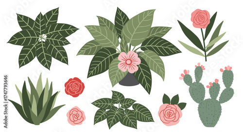 A collection of various houseplants and flowers arranged in a whimsical artistic style.
