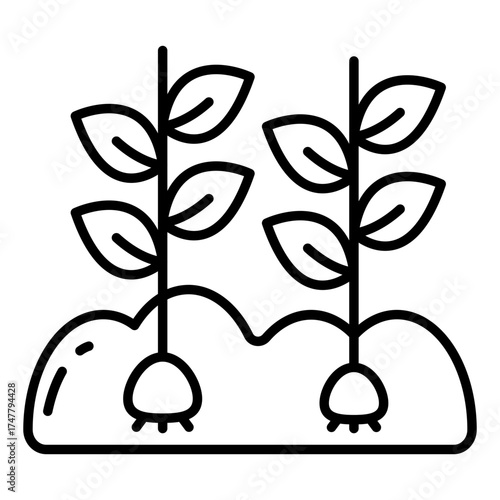 Vector design of growing plant, sprout icon 