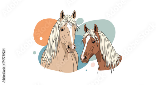 Two horses with speckled coats stand side by side on a white background.