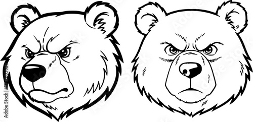vector illustration of a bear