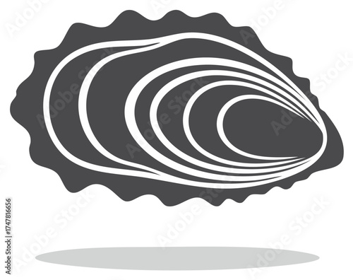 Stylized dark gray oyster shell with white wavy lines on a white background