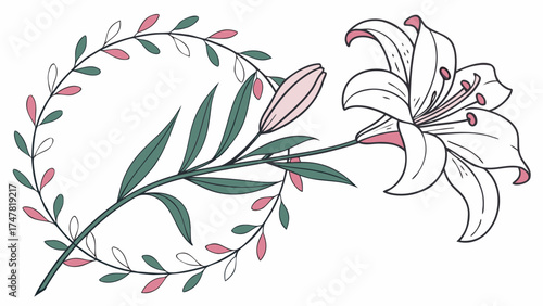Floral arrangement featuring a white lily bloom and a leafy vine forming a partial circle design element