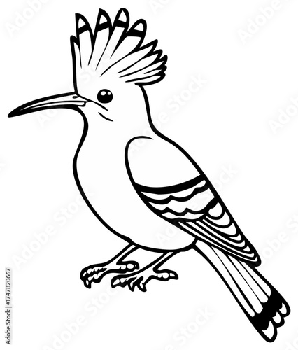 Black and white outline illustration of a crested bird with a long beak