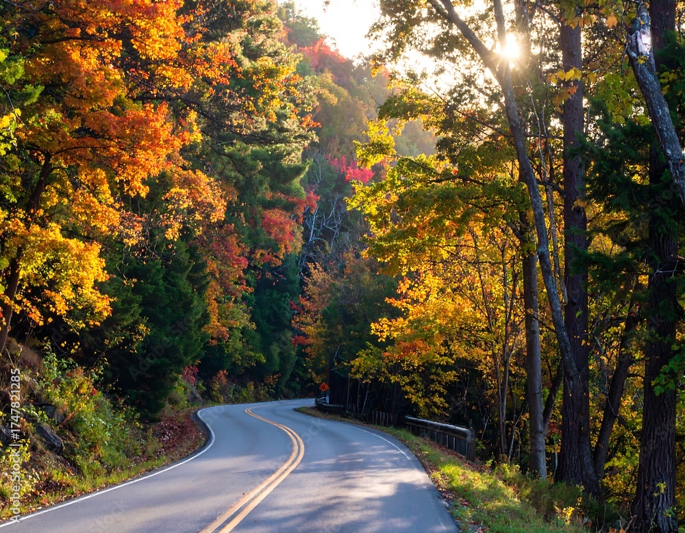 Fototapeta premium Winding Road Through Vibrant Autumn Forest at Sunset