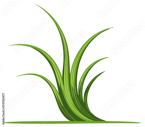 Illustrated Patch of Green Grass with Long Blades on a Plain White Background