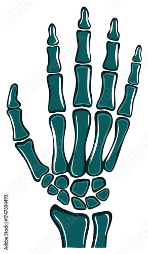 Stylized teal skeleton hand with detailed bones and joints, flat illustration
