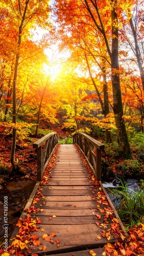 Wooden bridge in autumnal forest with vibrant colors and sunlight