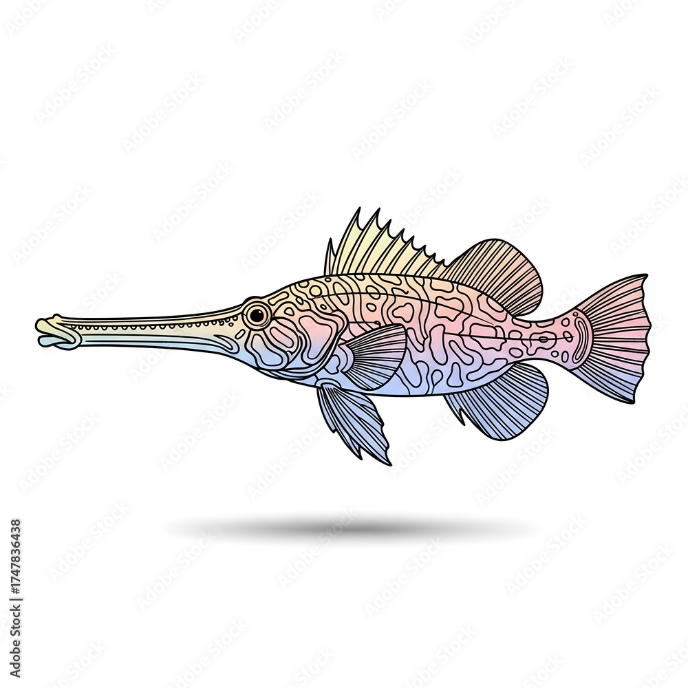 Fototapeta premium Illustration of a needlefish isolated on white background, a long slender fish