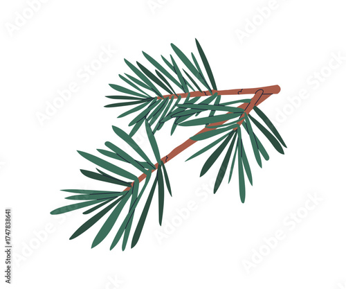 Pine tree branch with needles. Evergreen conifer twig, natural seasonal design element. Green coniferous fir sprig, winter forest decoration. Flat vector illustration isolated on white background