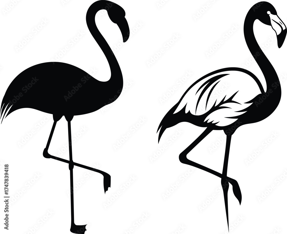 Obraz premium Flamingo Silhouettes Detailed and Solid Vector Illustration
