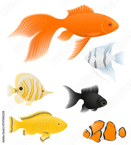 aquarium fish home decorative cartoon stock vector illustration isolated on white background