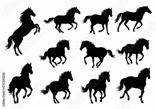 set of horses silhouettes