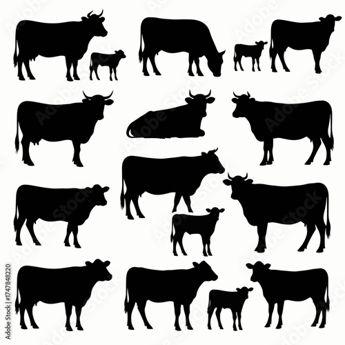 farm animals collection