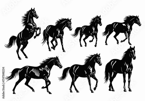set of horses vector