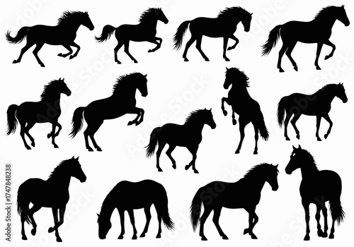 horse silhouettes vector