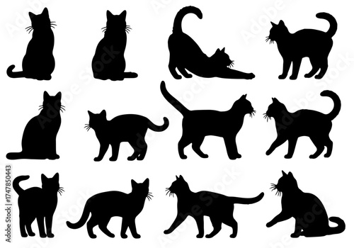 Cats silhouettes vector