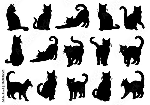 Set of black cat silhouettes, vector illustration of cute domestic animals collection