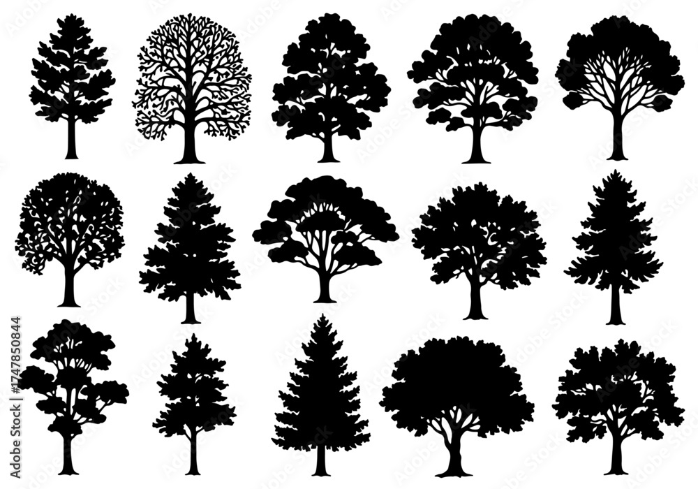 Fototapeta premium collection of trees