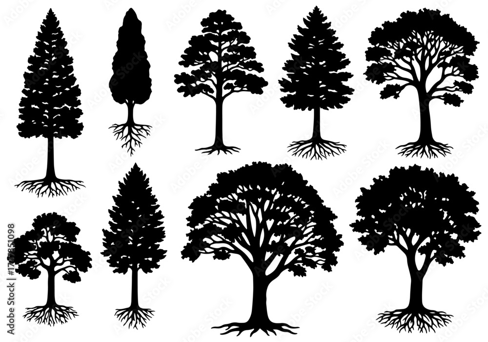 Fototapeta premium Set of trees silhouettes, set of trees