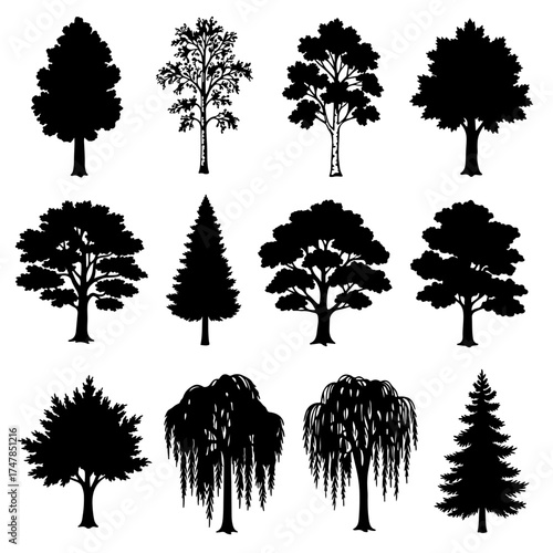 Collection of tree silhouettes and a set of diverse tree photos for stock use