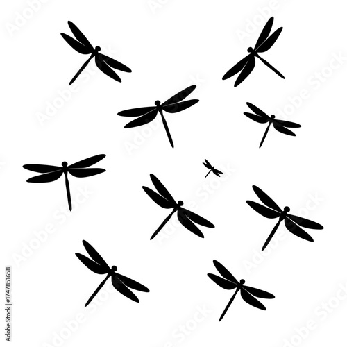 Realistic insect silhouettes showing the intricate wing spans and slender bodies of several dragonflies.