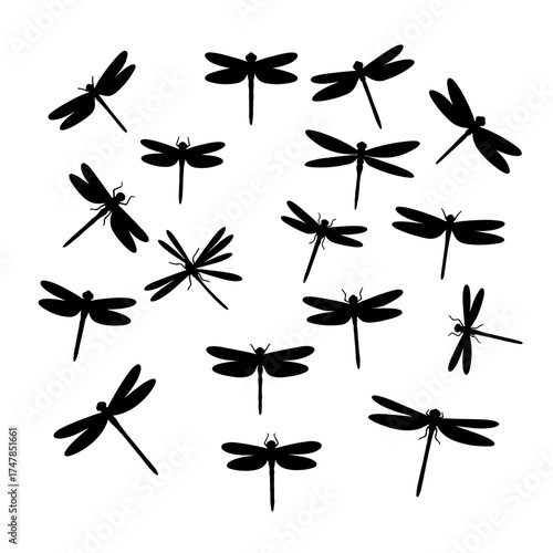 Multiple species of dragonflies depicted in top-down and profile views for graphic design projects.