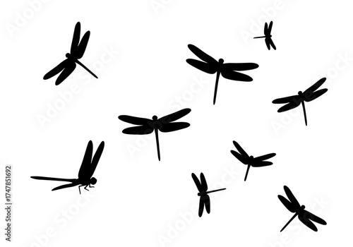 set of silhouettes of dragonfly