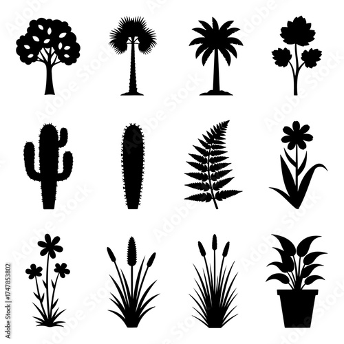 Silhouettes of various trees in black vector style with tropical and forest elements