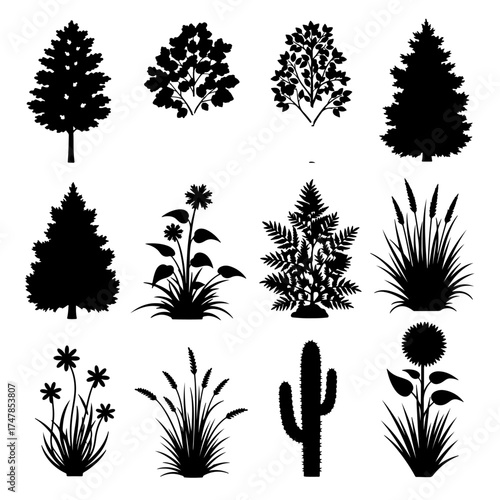 Silhouettes of various trees in black vector style with tropical and forest elements