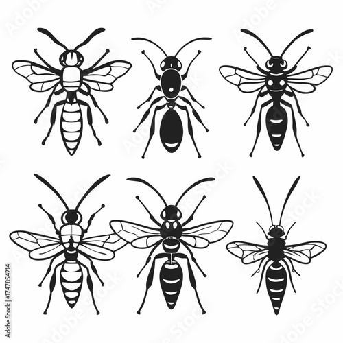 Six black and white vector illustrations of wasp insects in various poses