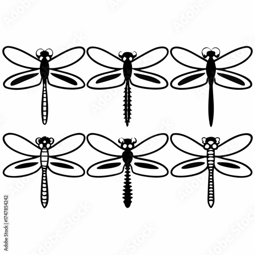 Six dragonflies in a pattern, showcasing different wing and body designs