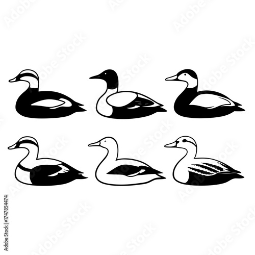 Six ducks swimming in a row, vector illustration of waterfowl silhouettes