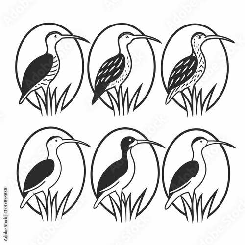 Six birds with long beaks and oval frames are arranged in a symmetrical pattern