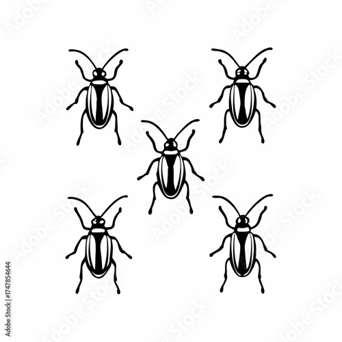 Five beetles with oval bodies and antennae are arranged in a symmetrical pattern