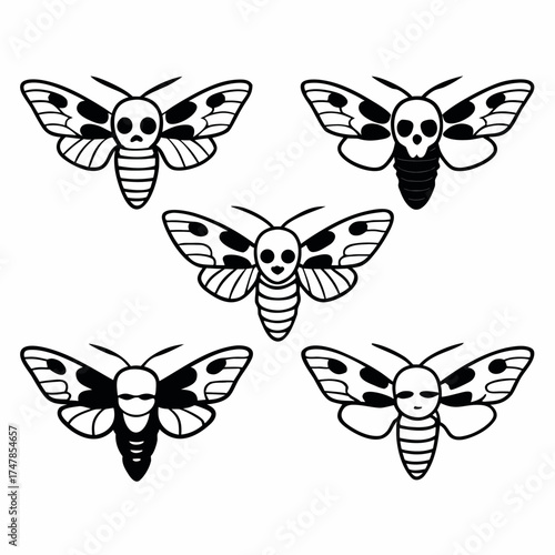 Five moths with skull markings are arranged in a symmetrical pattern