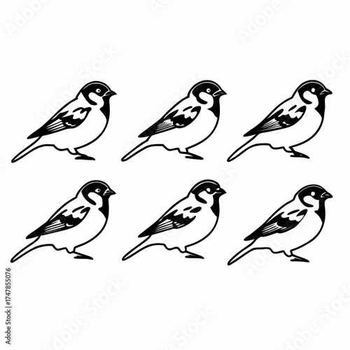 Wallpaper Mural Six sparrows in a seamless pattern, perfect for textile or wallpaper design Torontodigital.ca