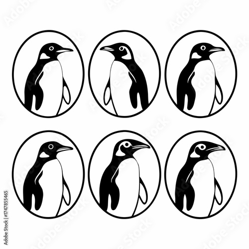 Collection of six penguin illustrations in a circle in a vector format for easy use