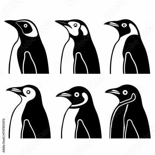 Collection of six penguin head illustrations in a vector format for easy use