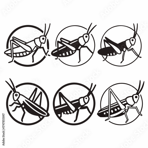 Collection of grasshopper icons in circle frame vector illustration of insect
