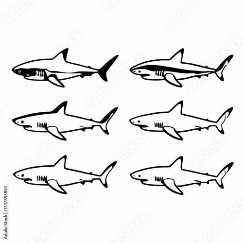 A collection of six shark illustrations, showcasing various species and designs in black and white
