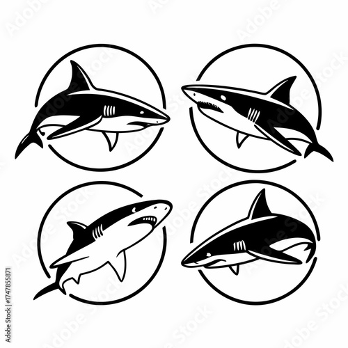 Four shark icons in black and white, each in a circle frame, vector art