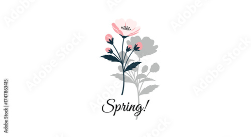A delicate pink blossom emerges with soft petals casting a gentle shadow on a crisp white background symbolizing the arrival of spring.