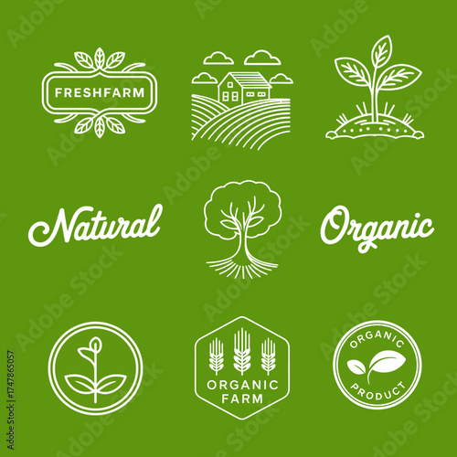 This fresh design theme highlights organic and natural elements, perfect for promoting eco-friendly products and appealing to health-conscious consumers in today's market.
