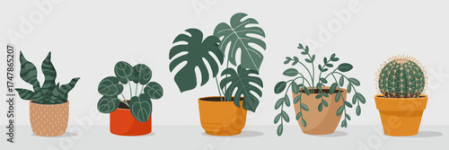 This image showcases a vibrant assortment of indoor plants in various colorful pots, highlighting the beauty and diversity of houseplants for modern decor.